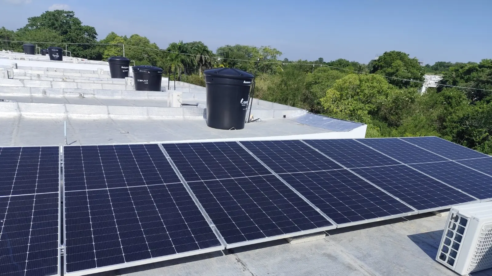 Proyecto Sunny – Prado Verde